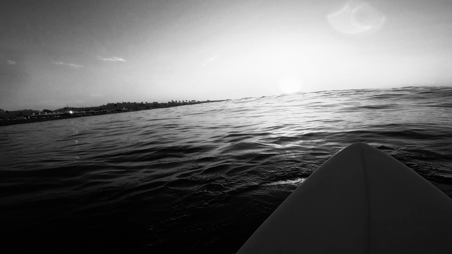 Nestor surfing